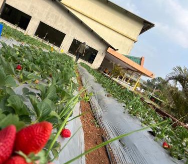 Mahabaleshwar Hotel | Khushi Riverside Resort & Spa