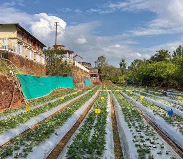 Mahabaleshwar Hotel | Khushi Riverside Resort & Spa