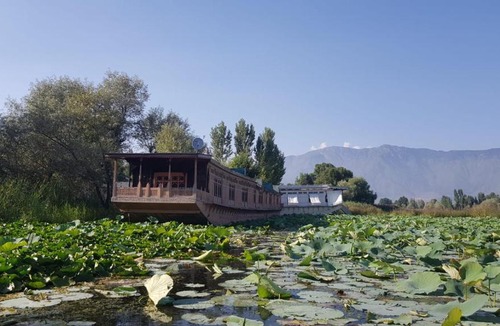 Nagin Bagh Hotel | Kings Houseboats