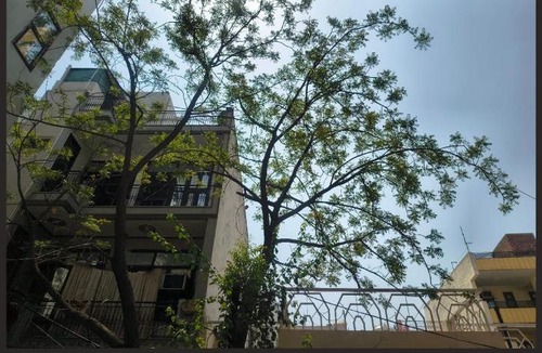 Gurugram Apartment | Moody Studio, Gurugram