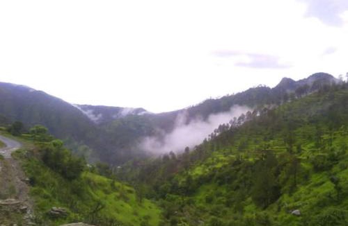 Tehri House | Mountain Bliss Stay Ramola garhwali restaurants