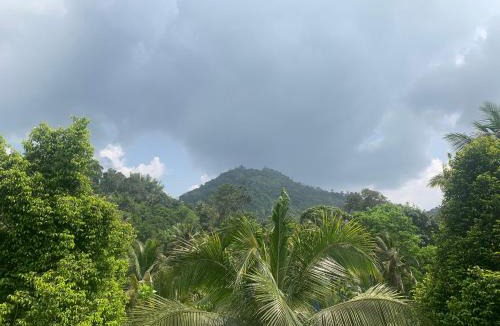 Devikolam House | MUNNAR FALCUNS