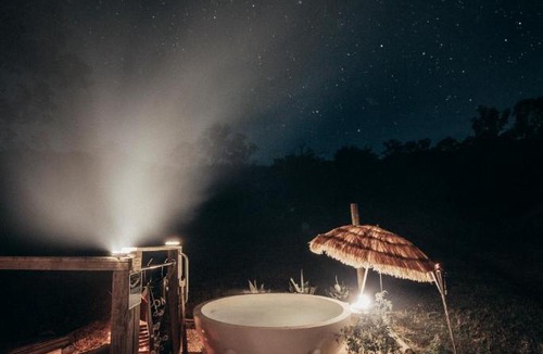Toms Creek Other | Nature Domes