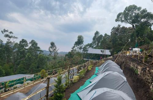 Suryanelli Other | Nature Heaven holidays