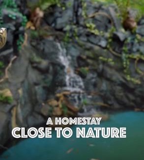Peermade House | Nature Hive Homestays