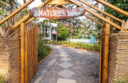 Morjim Bed & Breakfast | Nature's Inn 4 BHK Private Pool Villa in Morjim