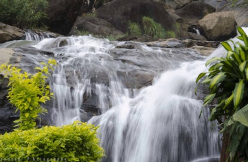 Devikolam Hotel | Nature Zone Jungle Resort