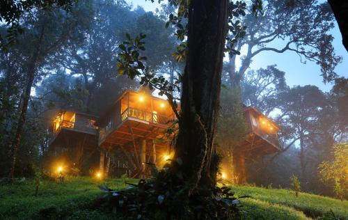 Munnar Resort | Nature Zone Munnar - A Real Jungle Resort - Authentic Tree House and Premium Tents