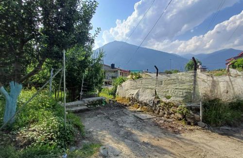 Manali House | Orchard Bliss