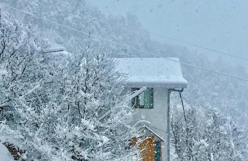 Shilon Bagh Resort | Orchard Valley Resort