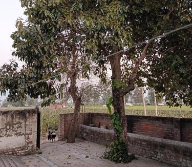 Patiala House | Padda Farm house