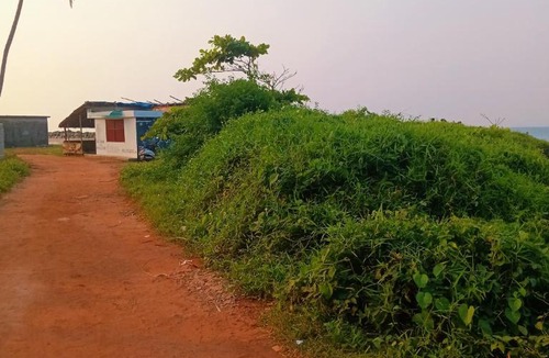 Varkala House | Paddy Surf Cliff Retreat Varkala