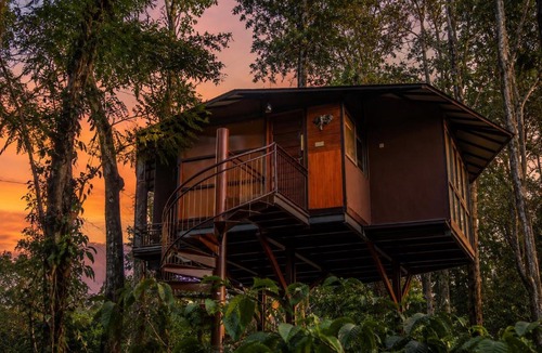 Kattikkulam Resort | Pugmarks Jungle Resort