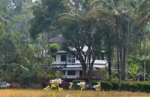 Mananthavady House | Quiet Canopy homestay