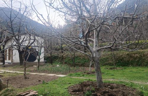 Old Manali Hostel | Raahi Roots