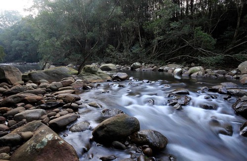 Upper Kangaroo River House | Rainforest River Retreat - Kangaroo Valley