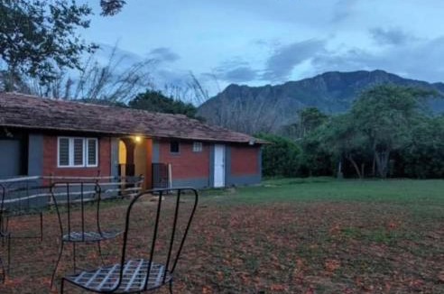 Masinagudi Hotel | Runnel View