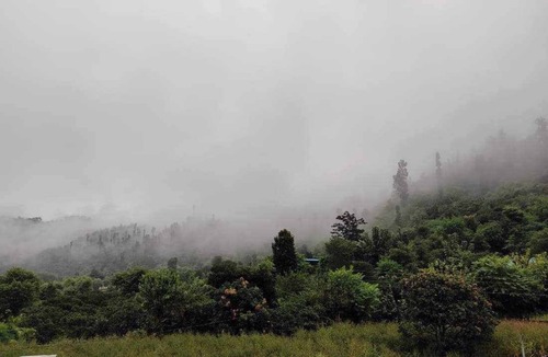 Dehradun House | Secluded Homestay In Dehradun, Preferred for Peace/Relaxation,
