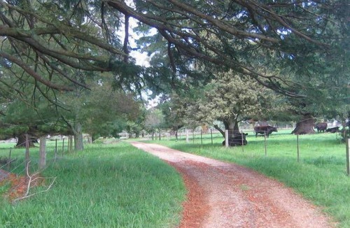 Bundanoon Apartment | SELF-CONTAINED STUDIO; PRIVATE "FERNDALE" B&B Farm Stay 5mins to BUNDANOON