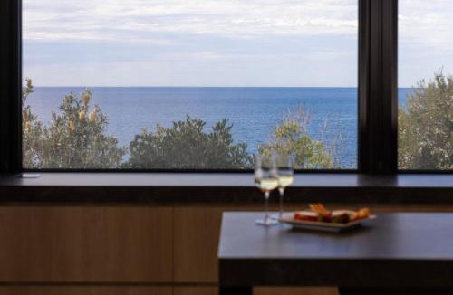 Kiama Heights House | SkyTerrace