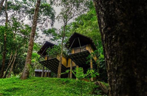 Elappara Resort | Song Of The Trees Jungle Experience Stay Kutitkanam by LexStays