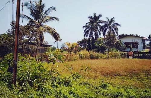 Lonavala House | Spacious and budgeted 3BHK Bungalows on rent in Lonavala