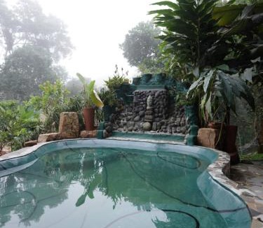 Mananthavady House | Taiga Forest Mountain Tree house