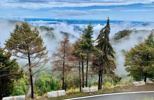 Dhanaulti Hotel | Tapovan Guest House & Restaurant