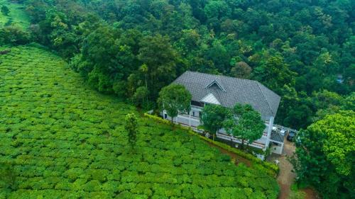 Chithirapuram Resort | Tea Harvester