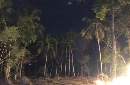 Palakkad House | The Cool Retreat, Pool Extra, at gaya3farms