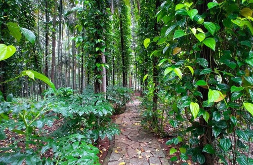 Agara Cottage | the "Farm Estate Social' Cozy cottage in a lush serene estate