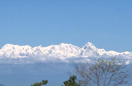 Bandipur Hotel | The Hotel