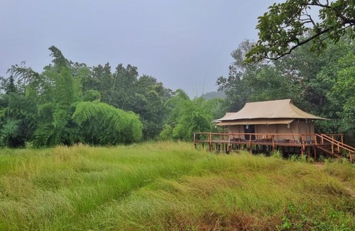 Umaria Hotel | The Untamed Bandhavgarh by TUTC