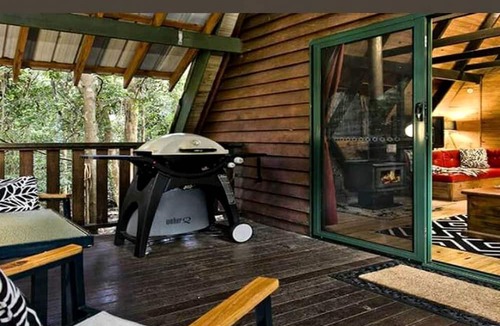 Springbrook Cabin | Unique Rainforest Getaway near Natural Bridge in Queensland