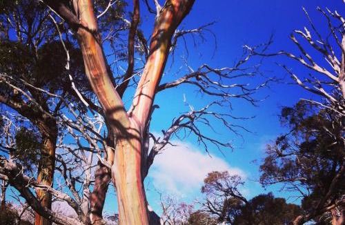 Perisher Valley Cabin | Valhalla Perisher
