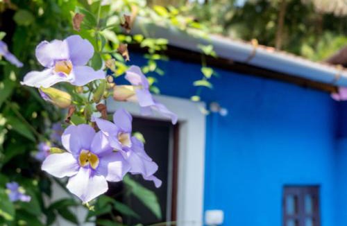 Altinho House | Villa Khatun Guesthouse - Peaceful Boutique Guesthouse near Fontainhas in Panjim