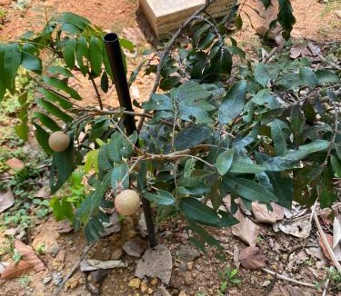 Kothamangalam House | Winter Heaven