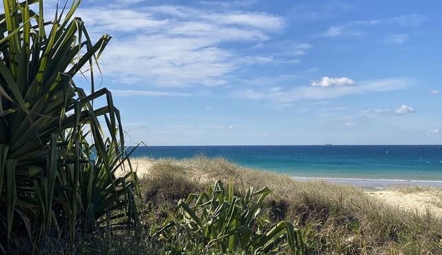 Absolute beachfront- Bush, Beach, Dogs, Relax! in Wurtulla
