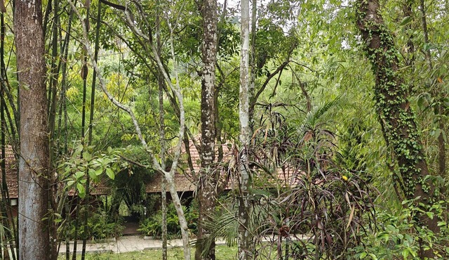 Amritara Dominics Nature Retreat Wayanad