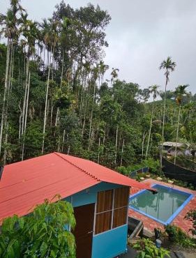 Bambooleaf pool dormitory