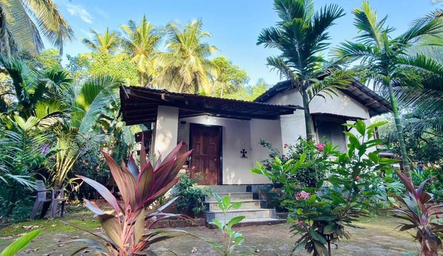 Casa Blue Palms in Pernem