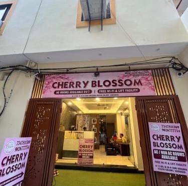 Cherry Blossom