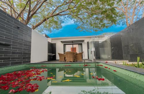 DARZA LUXURY RESORTs