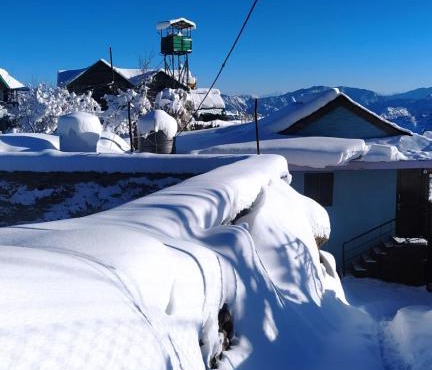 Deodar Homestay Dakbangla-kufri