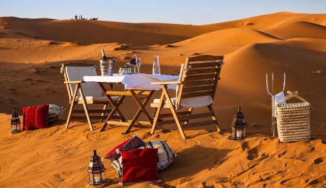 Desert cactus camp Jaisalmer