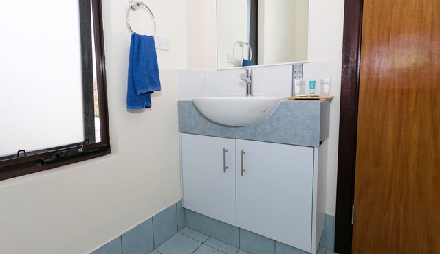 Executive 1 bdrm apartment in Albany