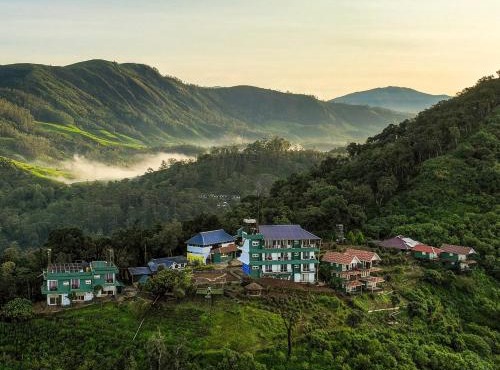 Forest County in Munnar