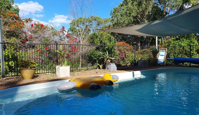 Gowrie Agapanthus in Singleton
