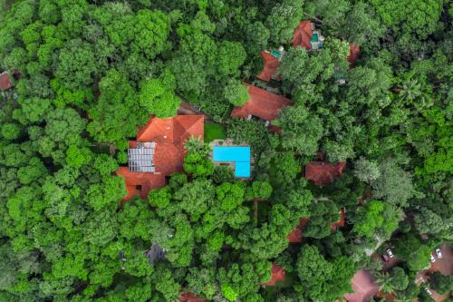 Greenwoods Thekkady - A Five Star Classified Resort