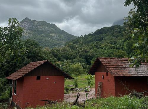 Jungle farmstay